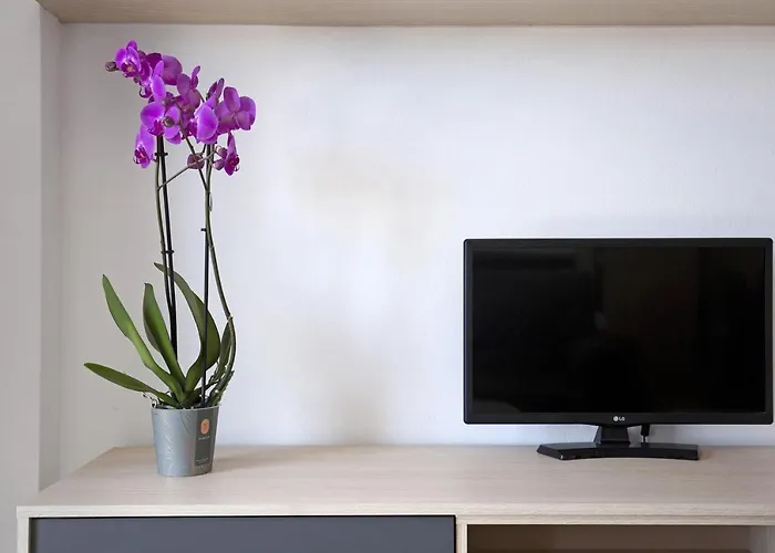 Apartamento Betty C